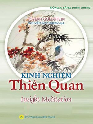 cover image of Kinh nghiệm Thiền quán.